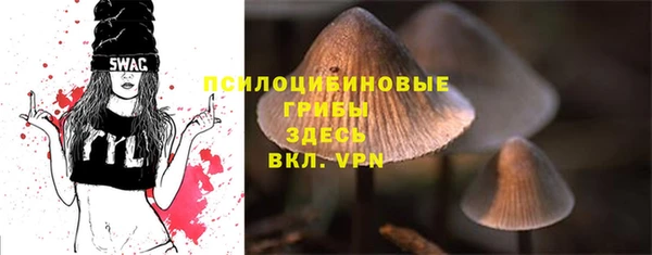 прущие крисы Армянск