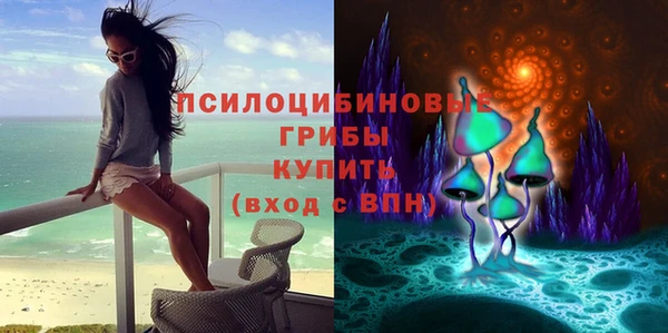 прущие крисы Армянск